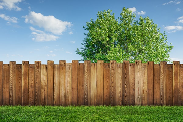 a wooden fence with a tree in the background