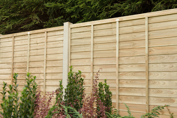 a run of pressure treated strong fencing with various plants in the foreground