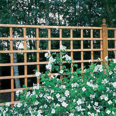 The Square panel in this photo is one of our trellis types